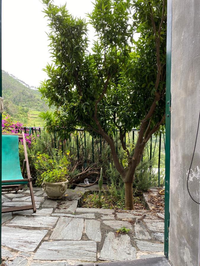 Cottage La Terrazza Levanto Dış mekan fotoğraf