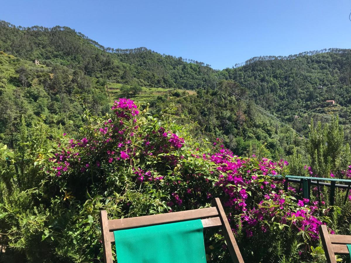 Cottage La Terrazza Levanto Dış mekan fotoğraf