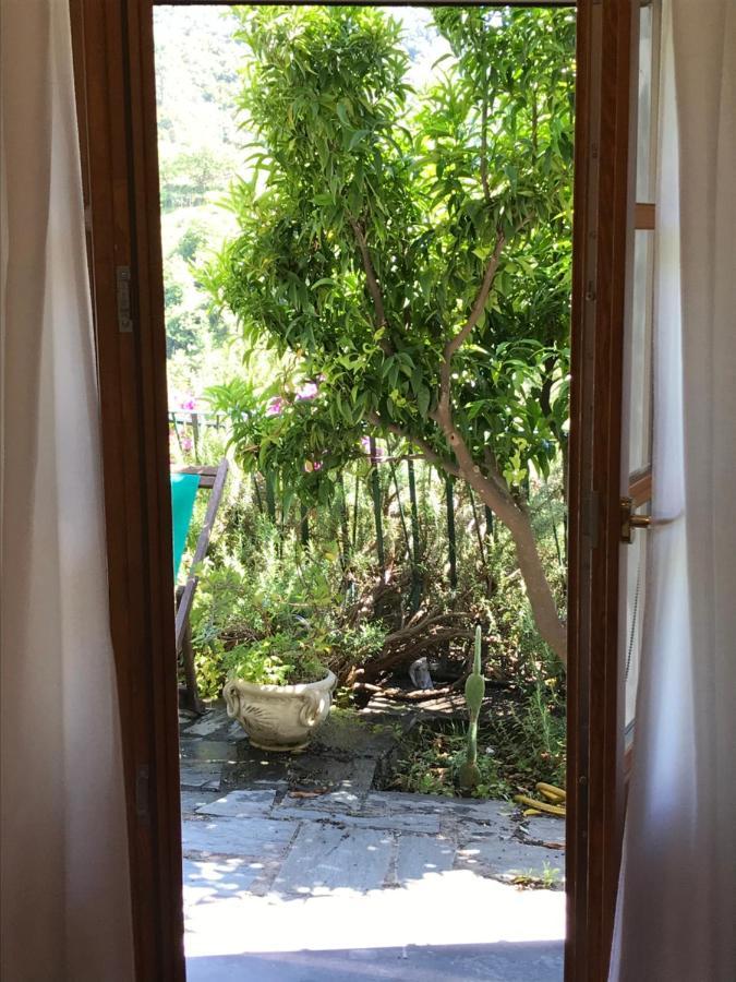 Cottage La Terrazza Levanto Dış mekan fotoğraf