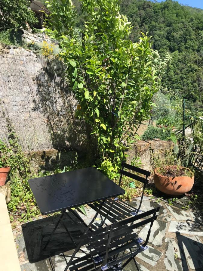 Cottage La Terrazza Levanto Dış mekan fotoğraf