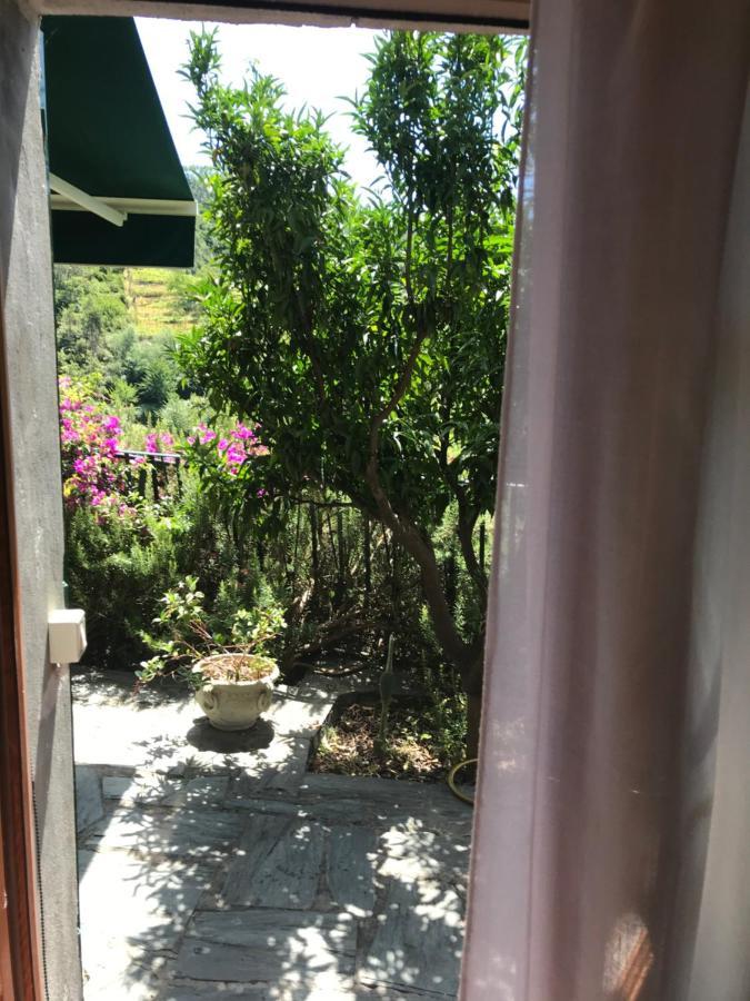 Cottage La Terrazza Levanto Dış mekan fotoğraf
